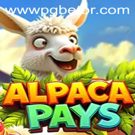 An In-Depth Look at AlpacaPays and the Role of PGBET